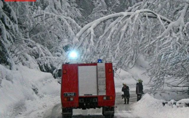 Foto: Andreas Gerstenbauer
