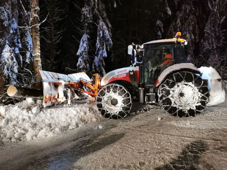 Baum auf Fahrbahn 5