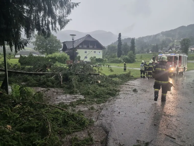 Baum auf Fahrbahn 1
