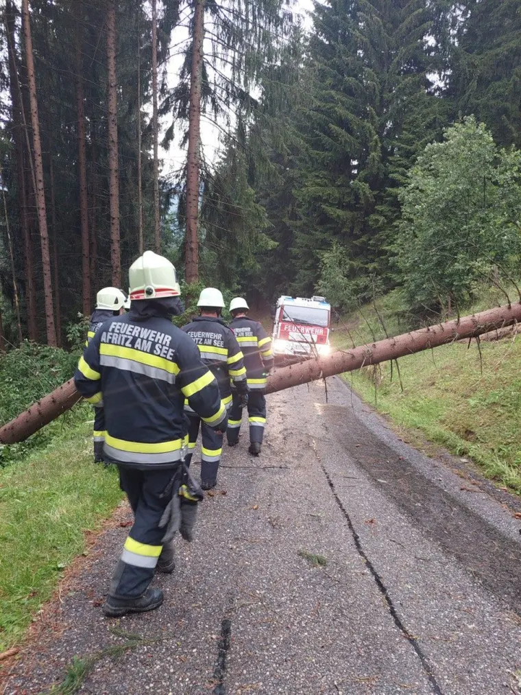 Baum auf Fahrbahn 2