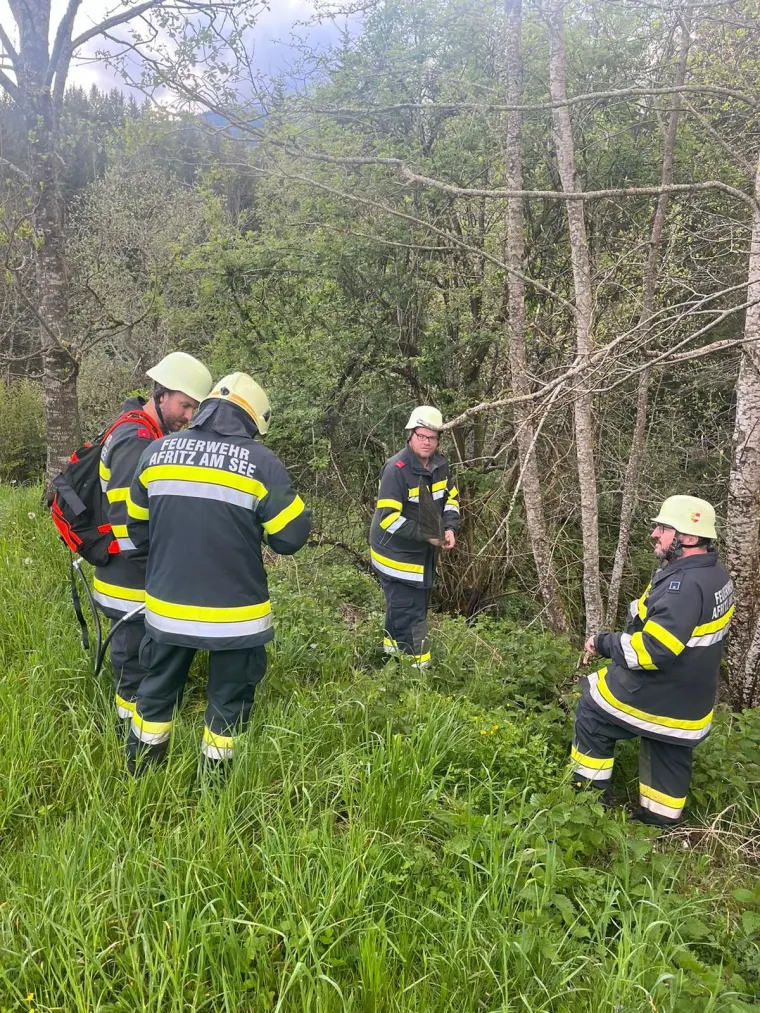 Zugsübung: Waldbrand 9