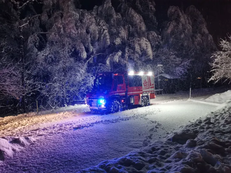 Baum auf Fahrbahn 1