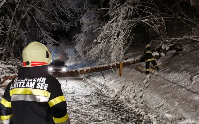 Baum auf Fahrbahn