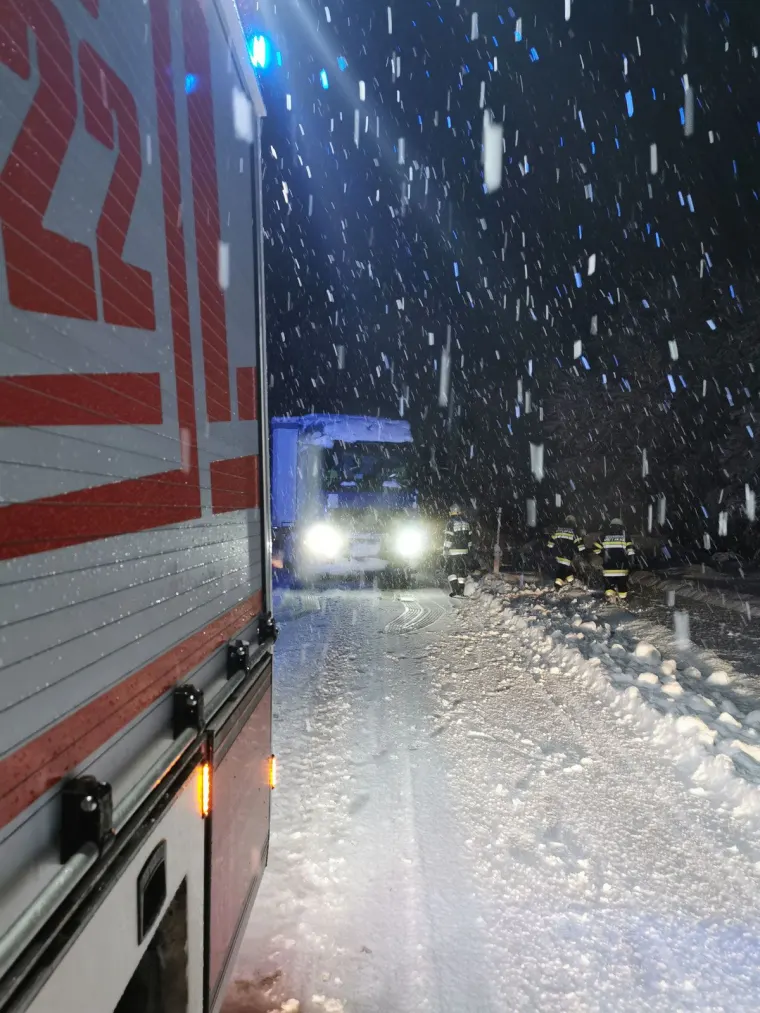 Baum auf Fahrbahn 7