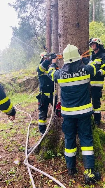 Abschnittsübung: Waldbrand 13