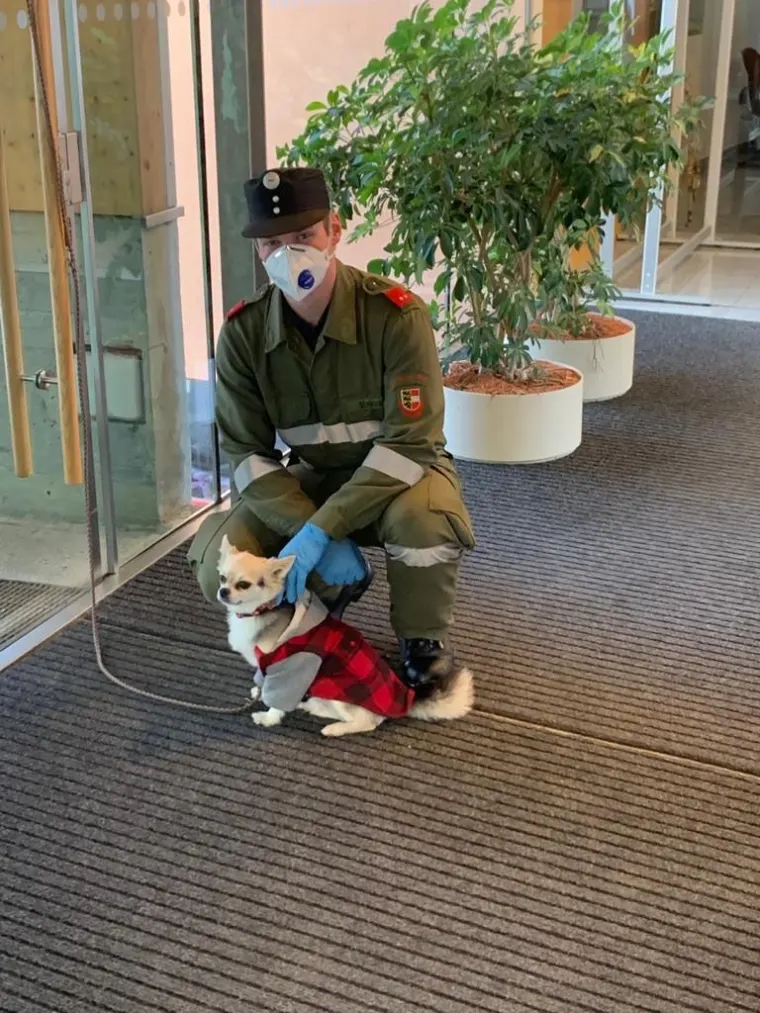 Unterstützung bei den Massentests 9