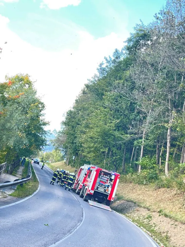 Baum auf Fahrbahn 2