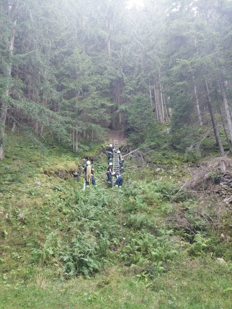 Bewegen von Lasten 10