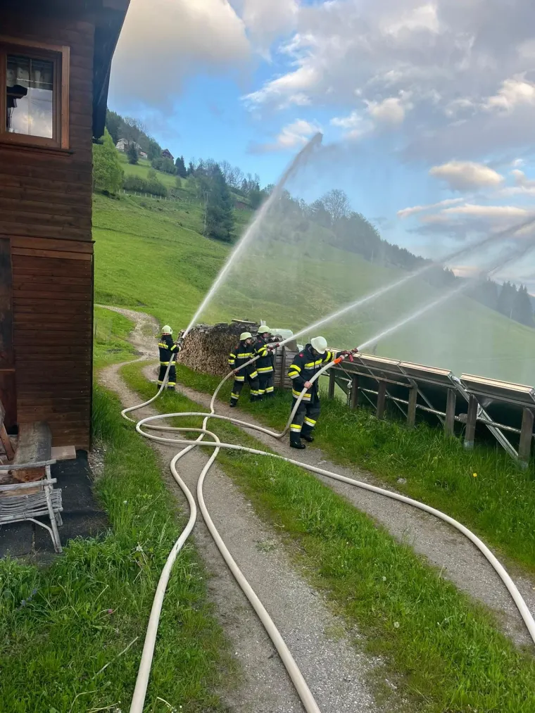 Zugsübung: Waldbrand 11