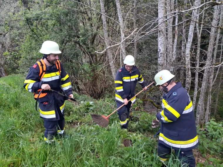 Zugsübung: Waldbrand 6
