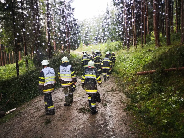 Baum auf Fahrbahn 1