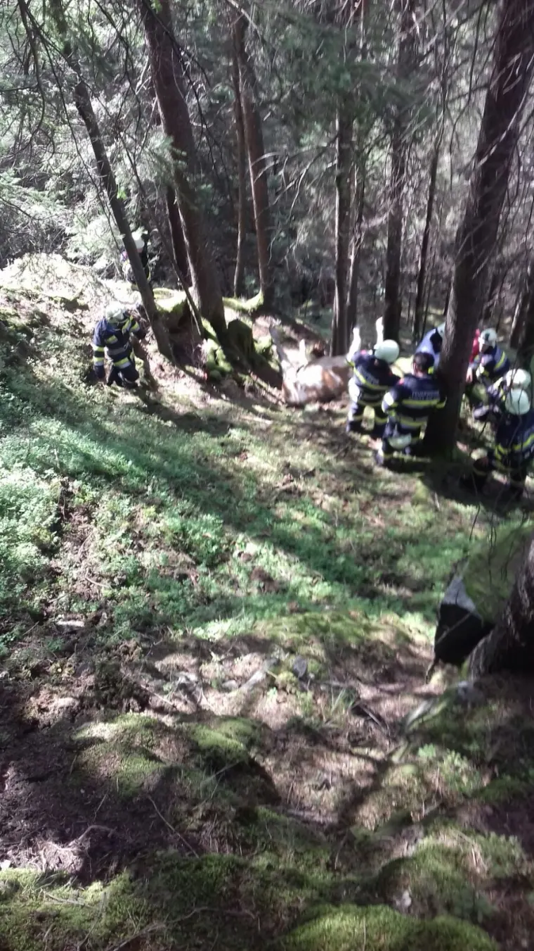 Technischer Einsatz in Verditz 3