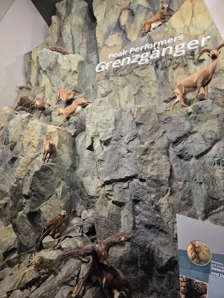Feuerwehrausflug auf die Großglockner Hochalpenstraße 6