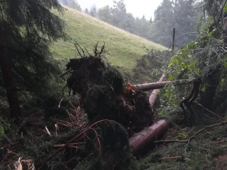 Traktorbergung in Afritz am See 3