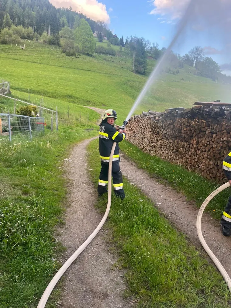Zugsübung: Waldbrand 17