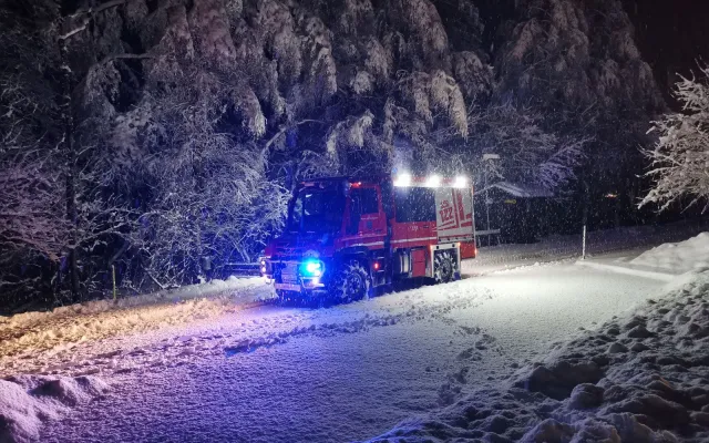 Baum auf Fahrbahn