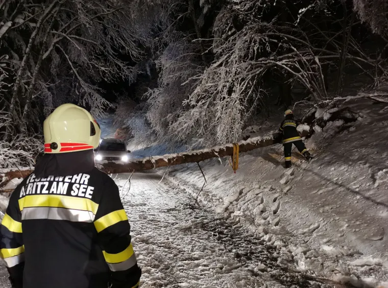 Baum auf Fahrbahn 1