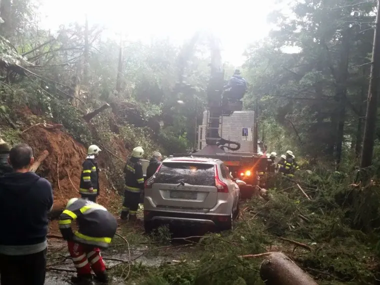 Baum auf Fahrbahn 10