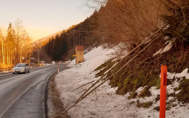 Baum auf Fahrbahn