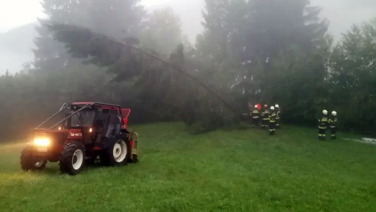 Baum auf Fahrbahn 12