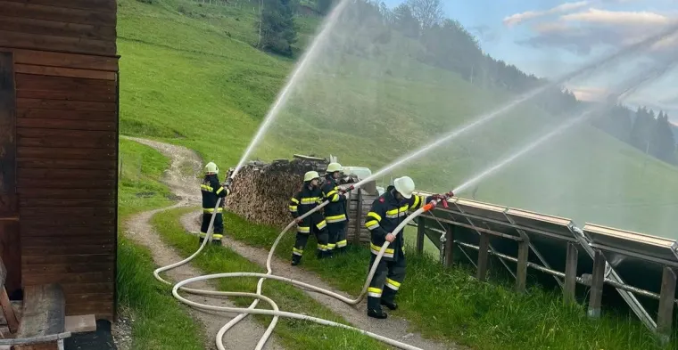 Zugsübung: Waldbrand 1