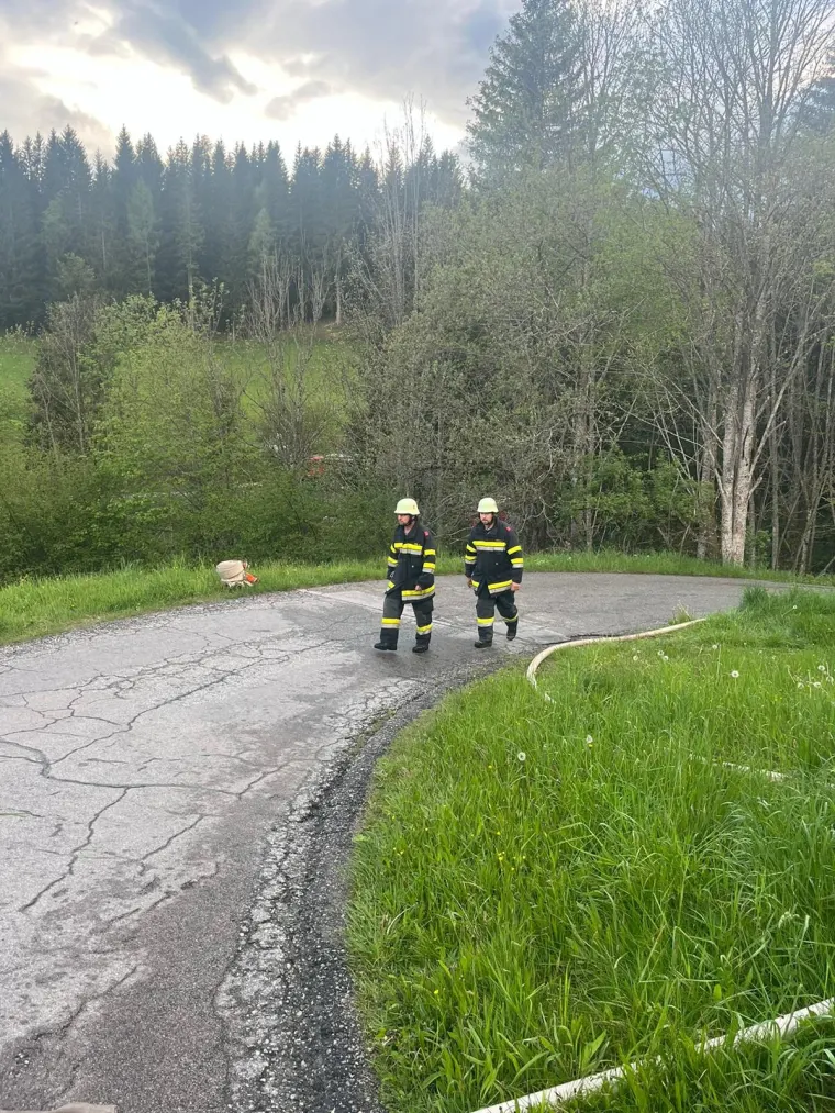 Zugsübung: Waldbrand 18