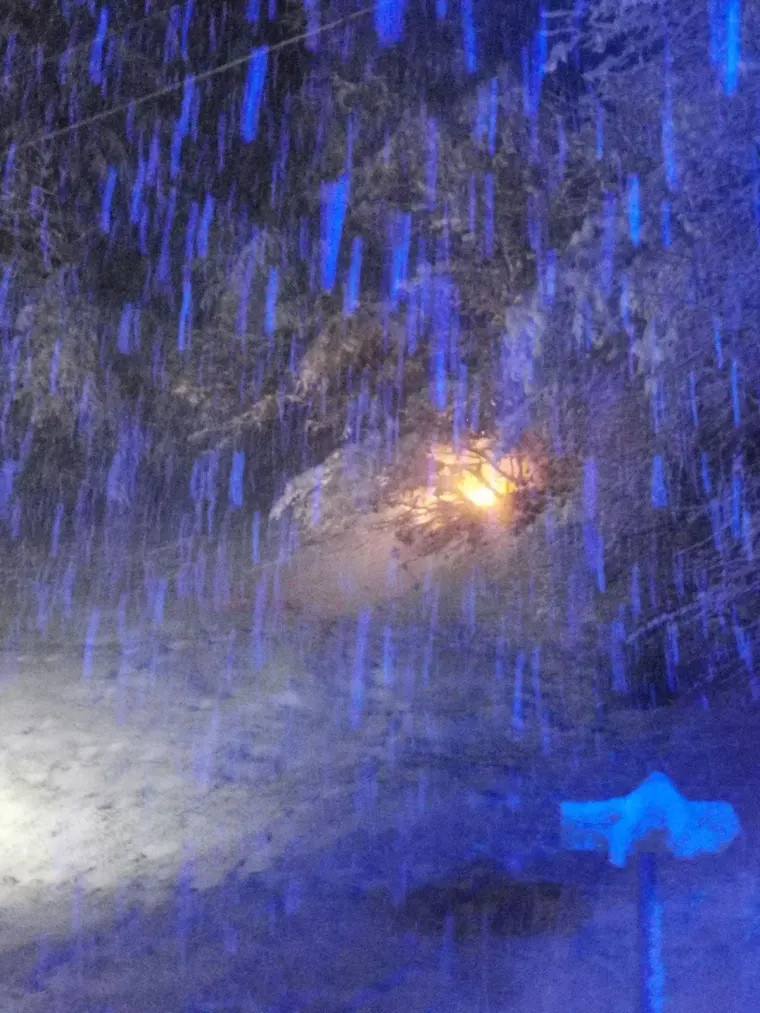 Baum auf Fahrbahn 3