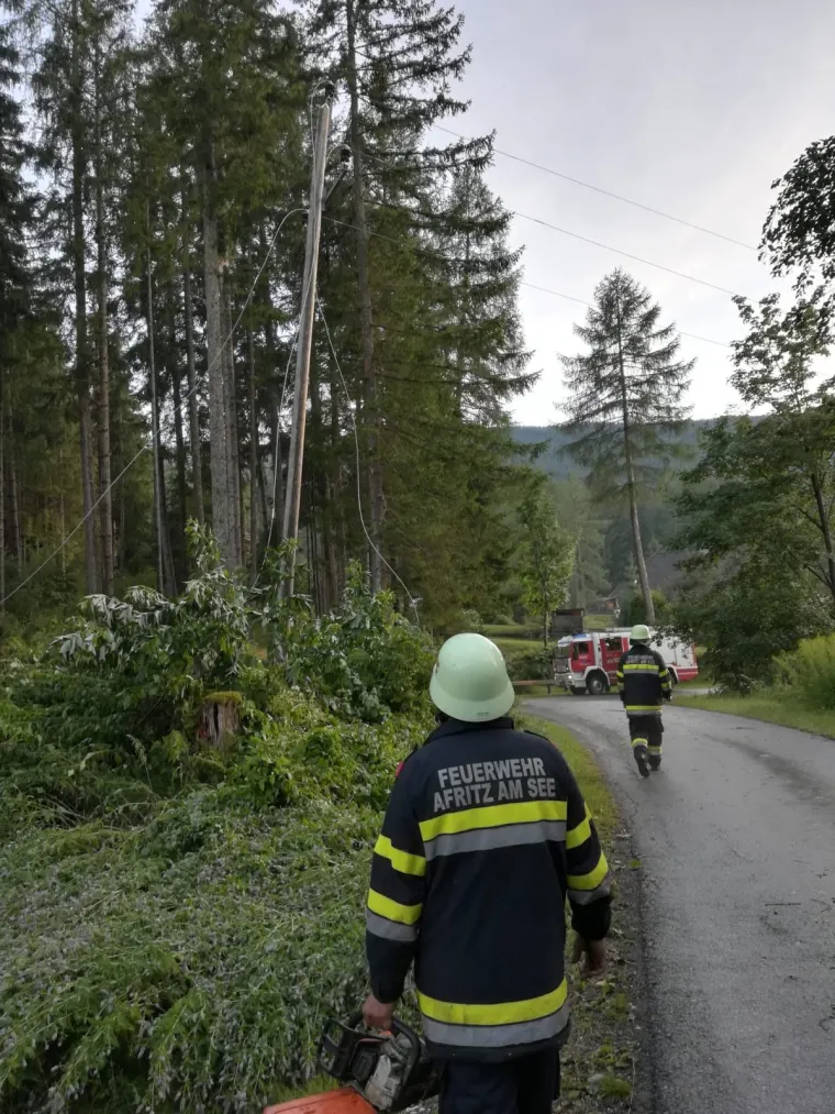 Baum auf Fahrbahn 5