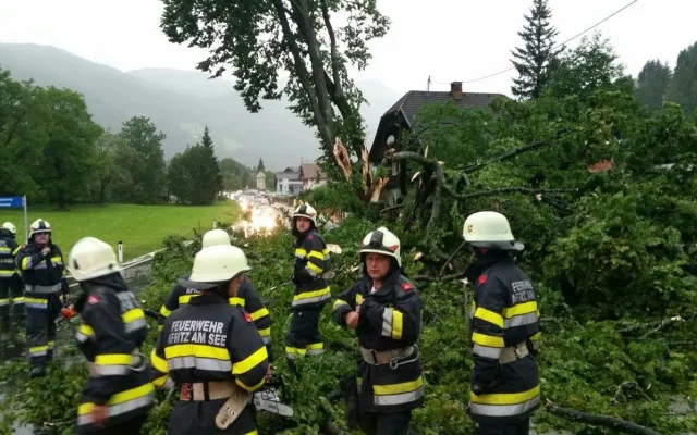 Baum auf Fahrbahn