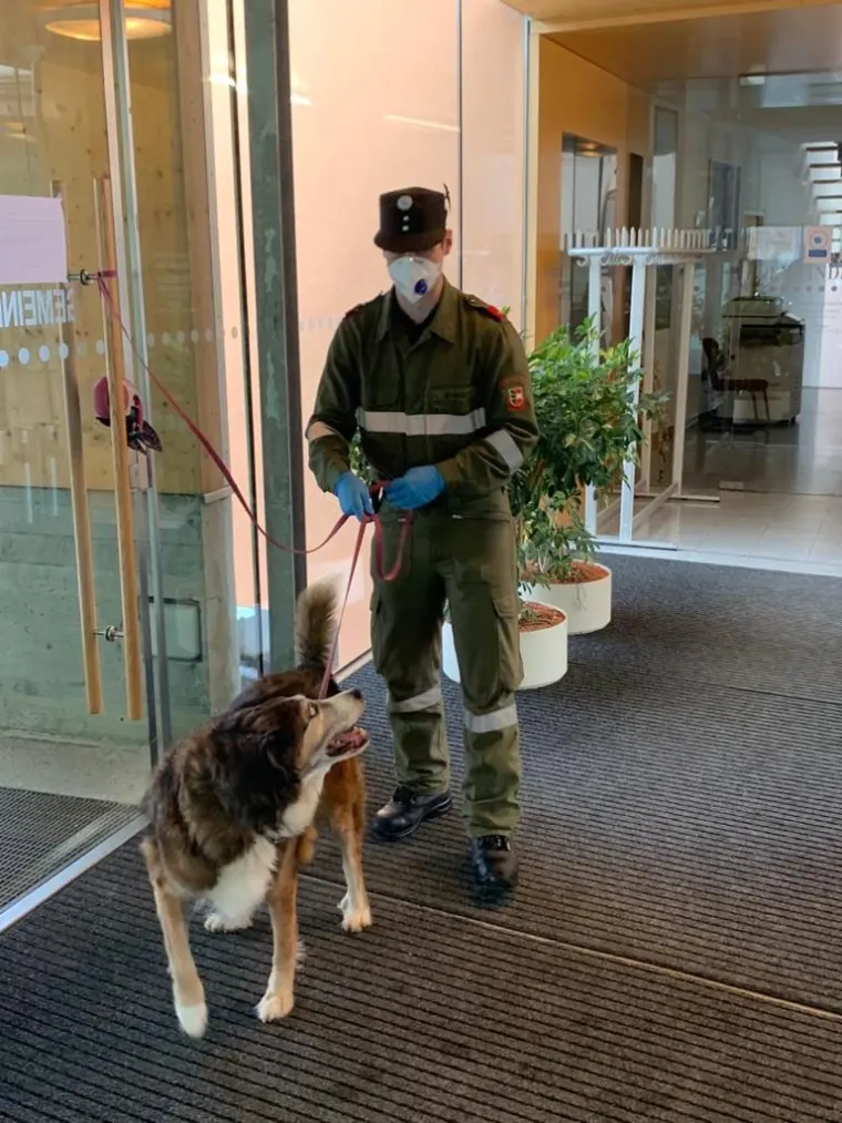 Unterstützung bei den Massentests 8
