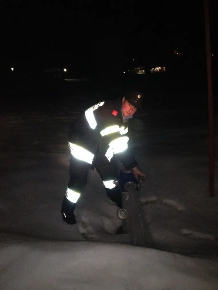 Auswinterung 1