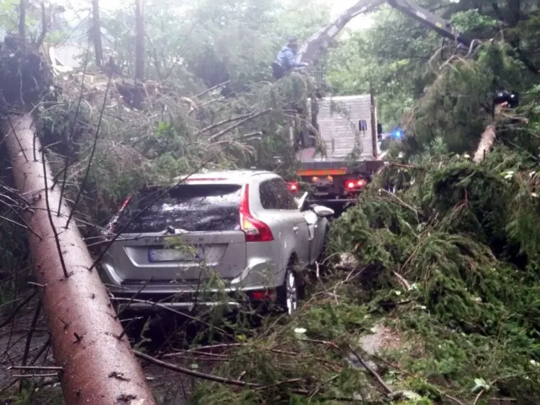 Baum auf Fahrbahn 8