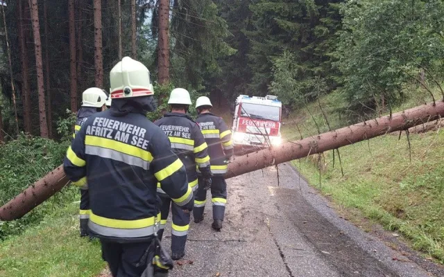 Baum auf Fahrbahn