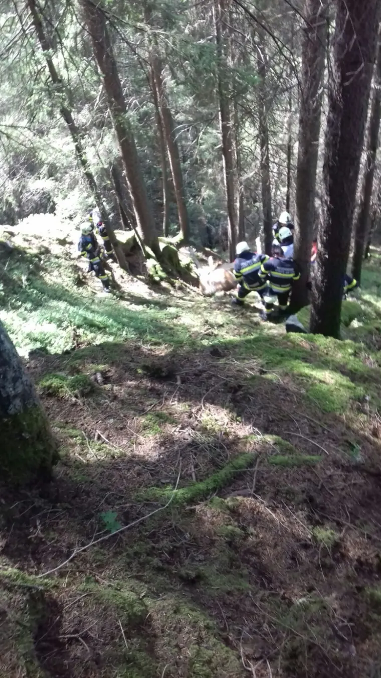 Technischer Einsatz in Verditz 2