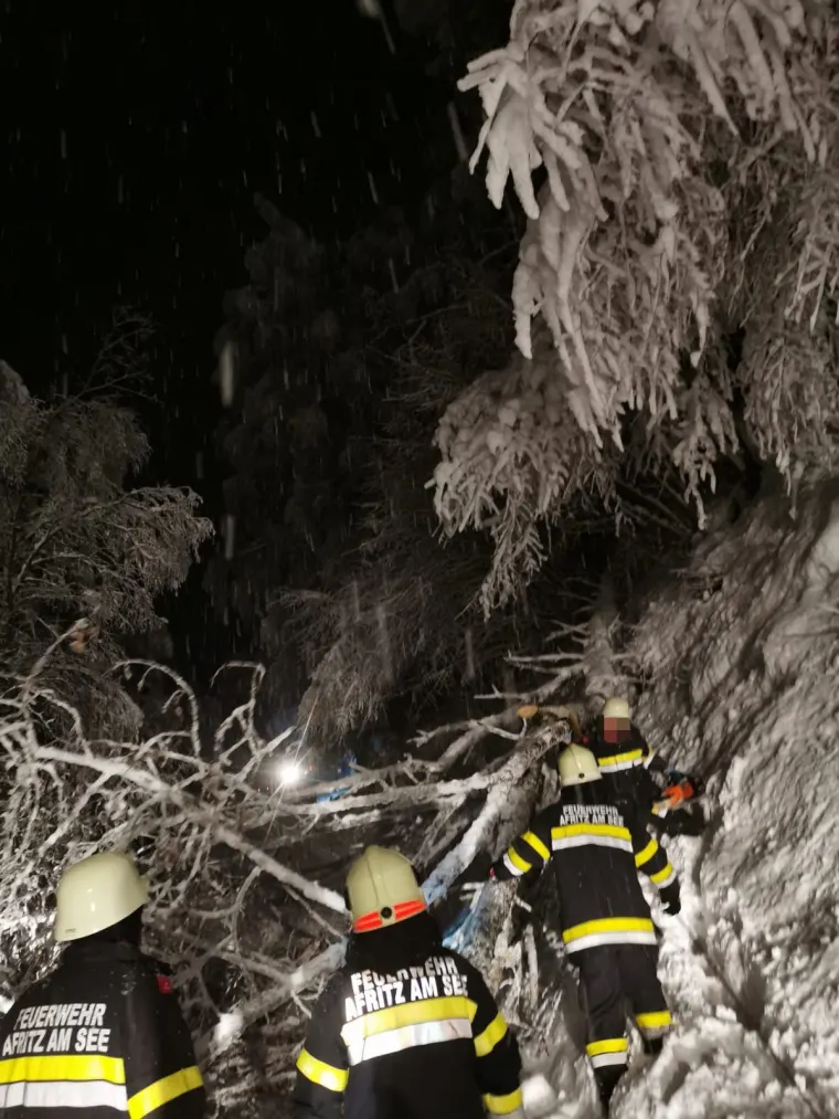 Baum auf Fahrbahn 9