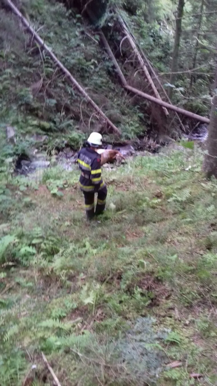 Technischer Einsatz in Verditz 4