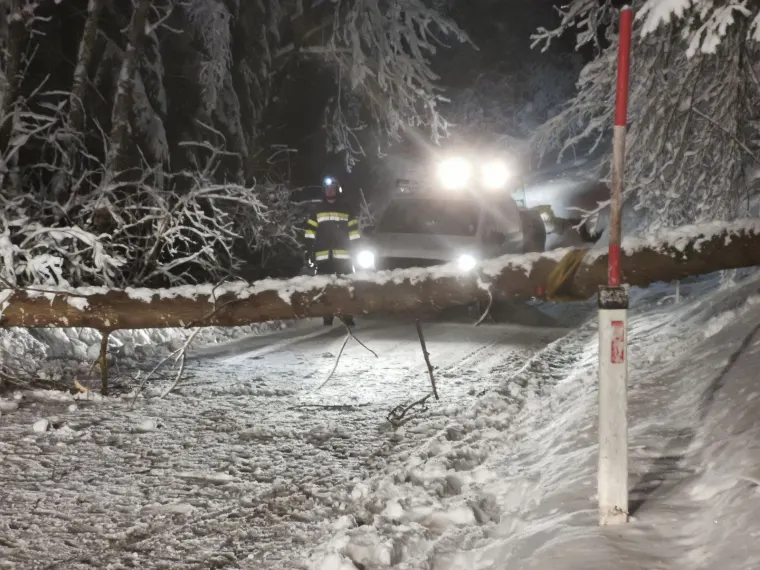 Baum auf Fahrbahn 4