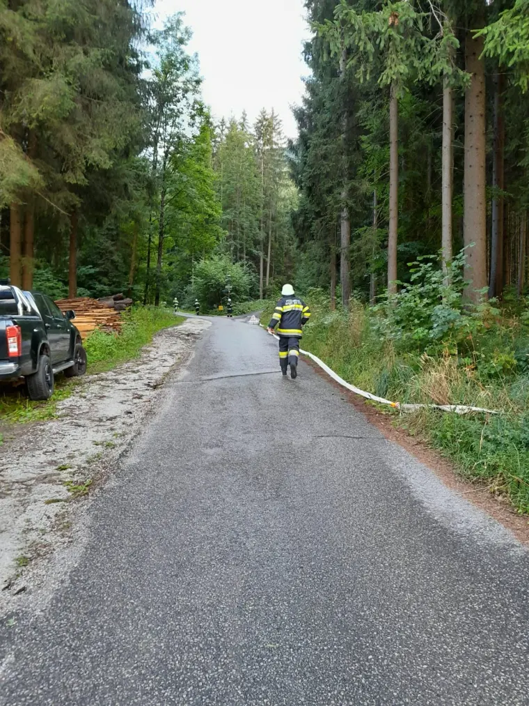 Übung: Personenrettung: Gebäudebrand 2