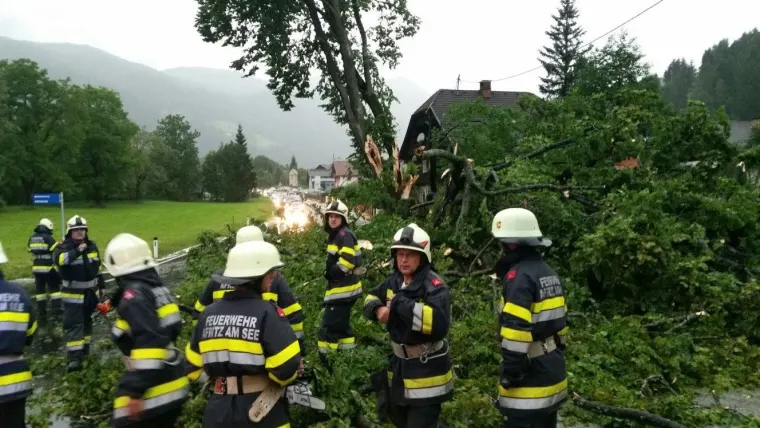 Baum auf Fahrbahn 13