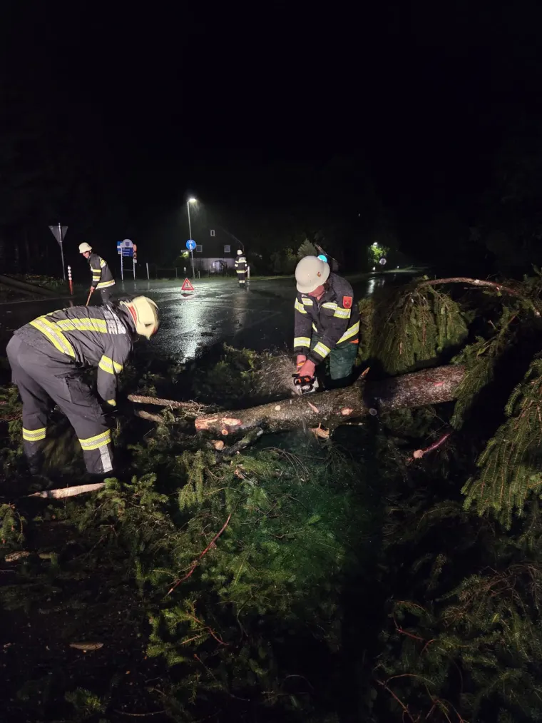 Baum auf Fahrbahn 3
