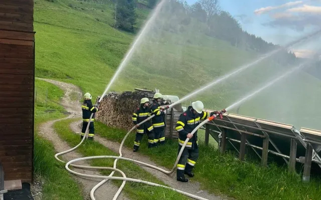 Zugsübung: Waldbrand