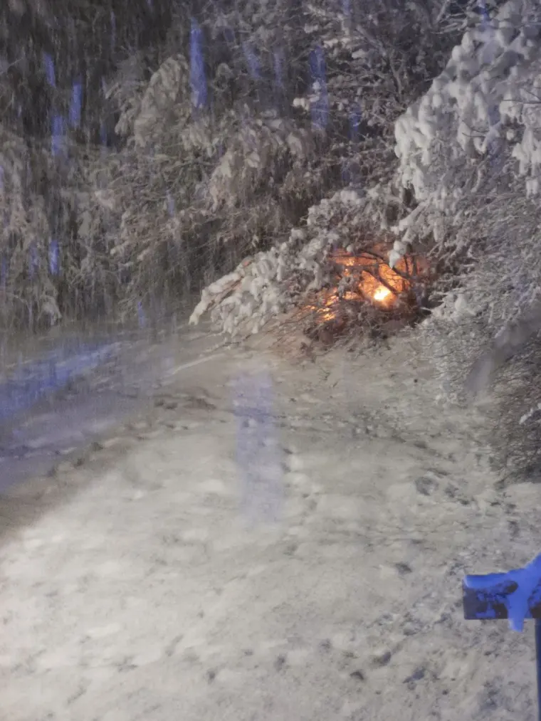 Baum auf Fahrbahn 4