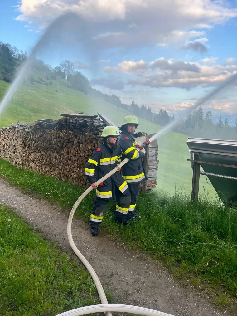 Zugsübung: Waldbrand 15