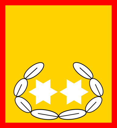Abzeichen Landesbranddirektor